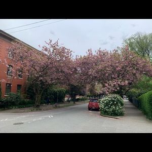 Meet your Posher, Nancy